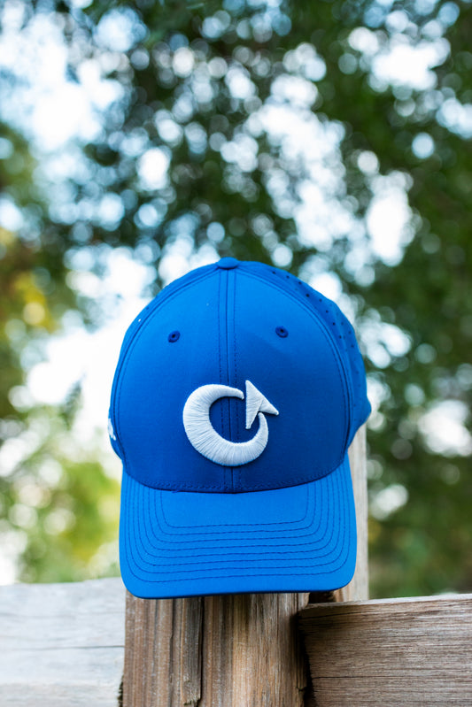 Birdie Blue II