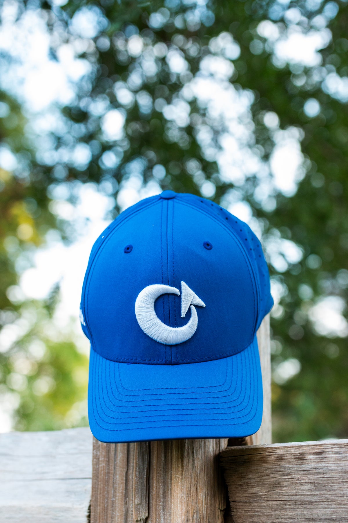 Birdie Blue II