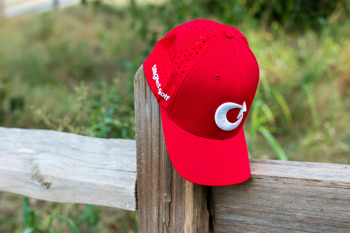 Recovery Red II