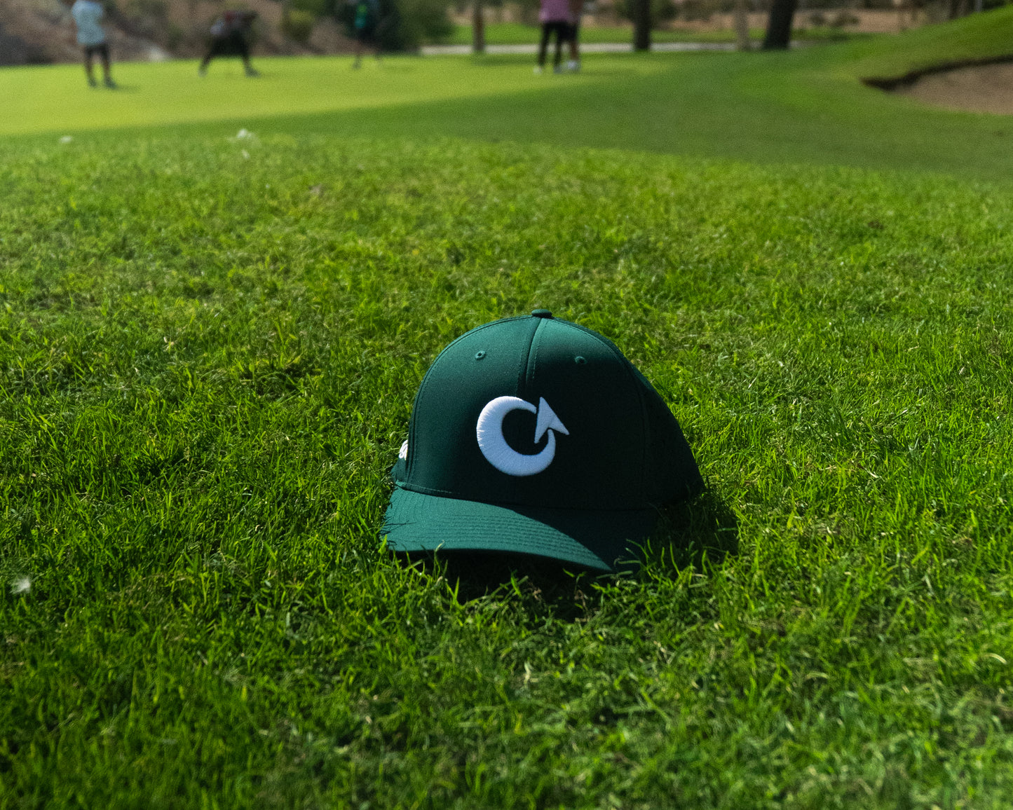 Green in Regulation II